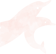 イルカ左側
