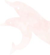 イルカ左側